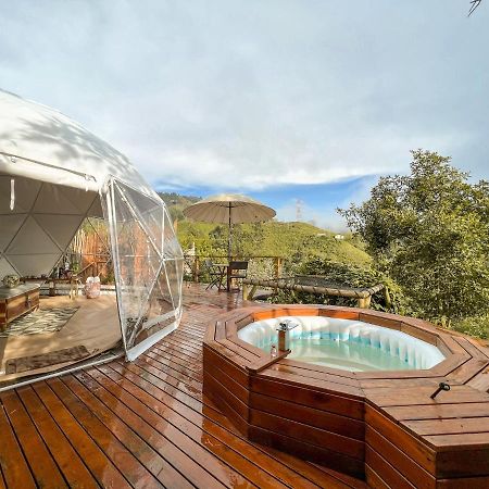 מלון Villamaría Nazca Glamping מראה חיצוני תמונה